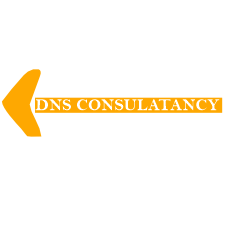 DNS CONSULtancy